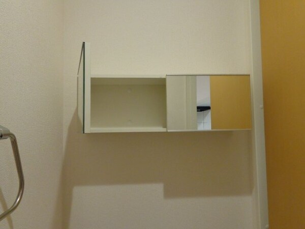 内装他(トイレの収納)