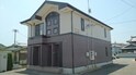 サンフラワー　Ａ