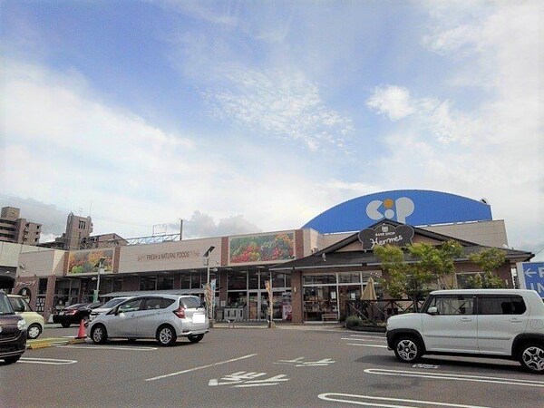 周辺環境(コープかがわ宇多津店まで600m)