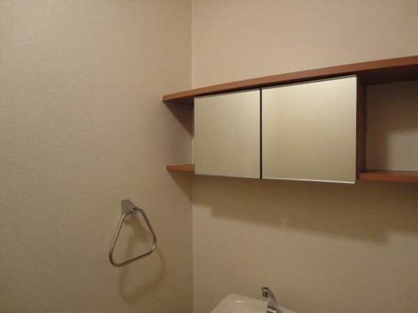 その他(トイレ収納)