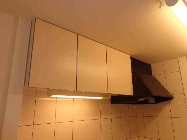 物件内観写真11　(キッチン収納)