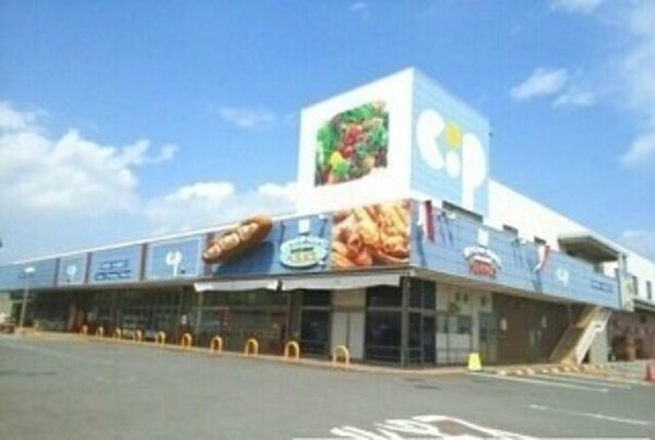 周辺環境(コープ香西店さんまで140m)