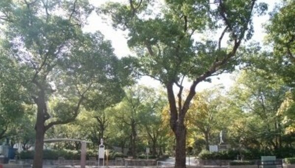 周辺環境(高松中央公園さんまで900m)