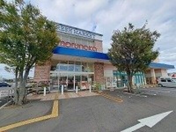 周辺環境(マルナカ新田店さんまで700m)