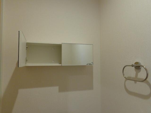 物件内観写真24　(トイレの収納)