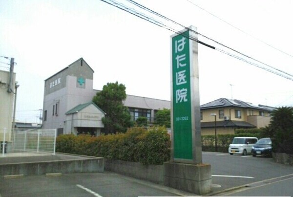 周辺環境(はた医院さんまで1390m)