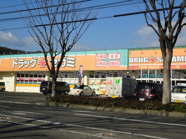 周辺環境(ドラッグセガミ（ドラッグストア）まで455ｍ)