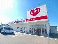物件外観写真6　(くすりのレディ仏生山店さんまで650m)