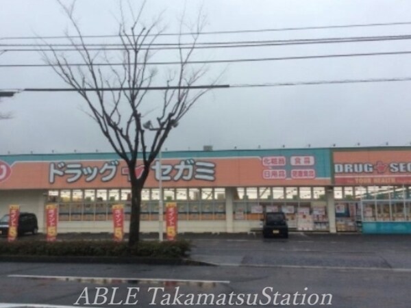 周辺環境(ドラッグセガミ栗林南店 524m)