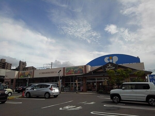 周辺環境(コープ宇多津店まで600m)