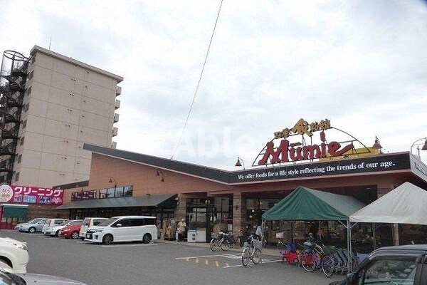 周辺環境(ムーミー花園店さんまで800m)