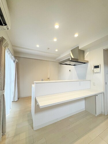 物件内観写真9　(カウンターキッチン)