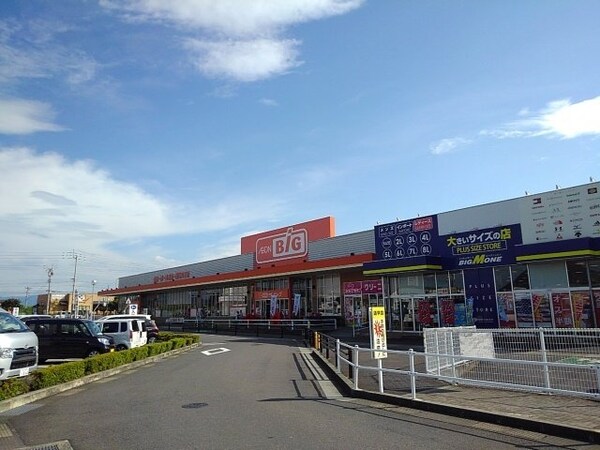 周辺環境(ザ　ビッグ丸亀城南店まで850m)