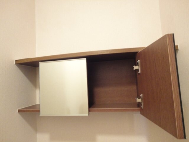物件内観写真15　(トイレの収納)