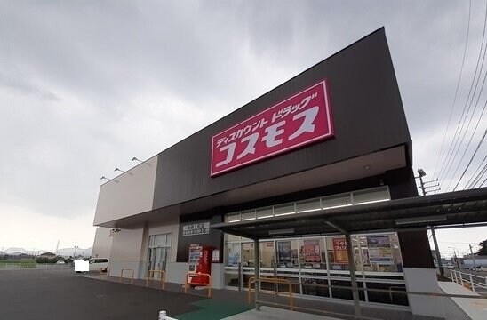 物件外観写真4　(コスモス太田上町店まで400m)