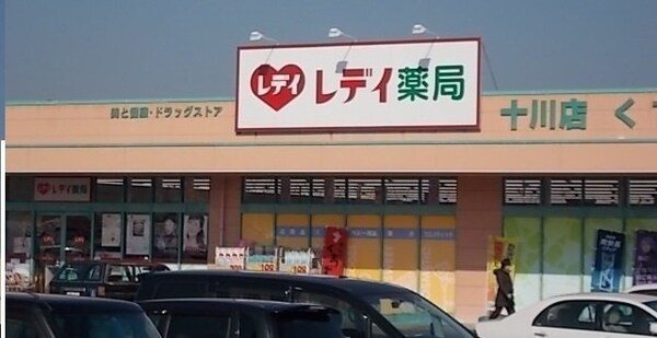 周辺環境(レディ薬局十川店さんまで700m)