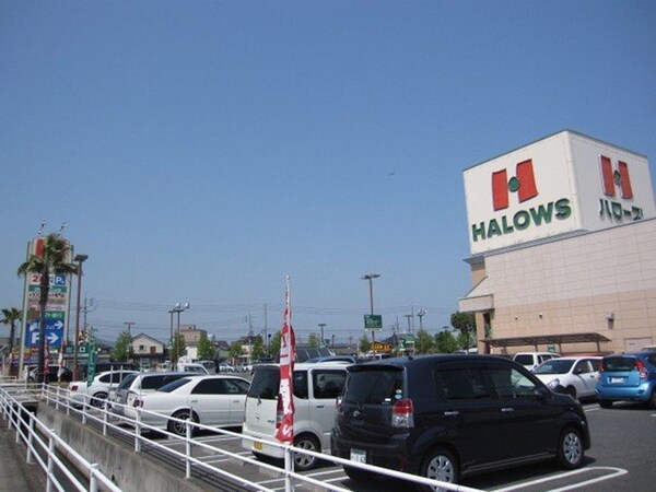 周辺環境(ハローズ田ノ上店まで750m)