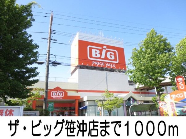 周辺環境(ザ・ビッグ笹沖店まで1000m)