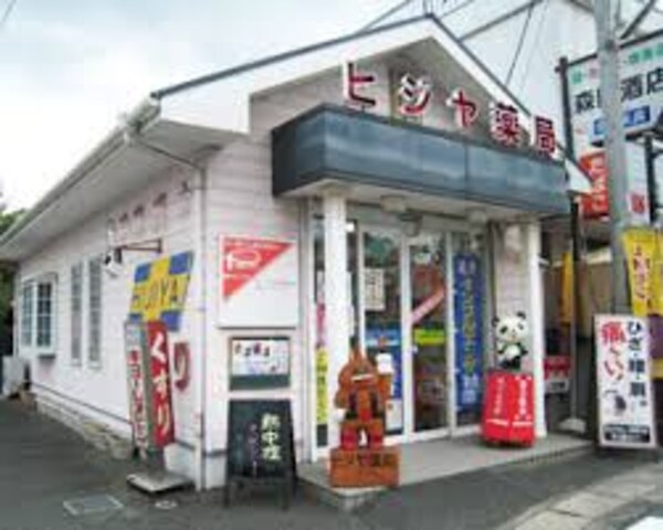周辺環境(有限会社ヒジヤ薬局駅前店 1615m)