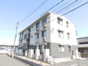 オリーブ