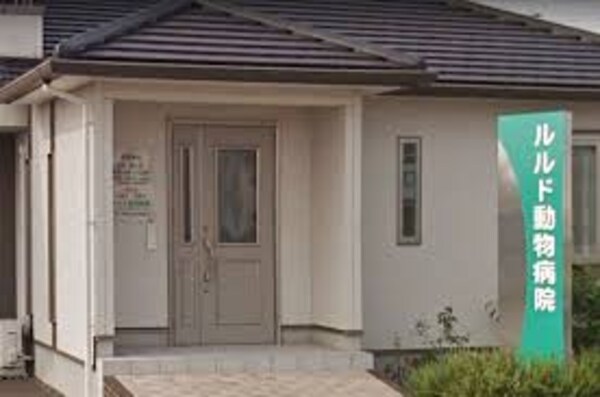 周辺環境(ルルド動物病院 2105m)