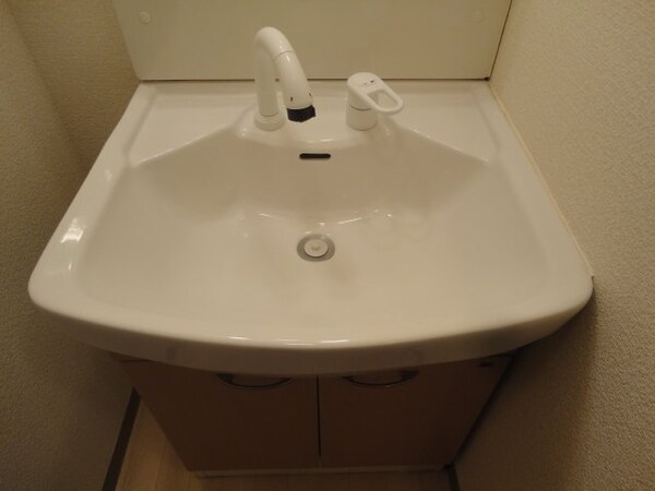 その他(シャンプードレサー)