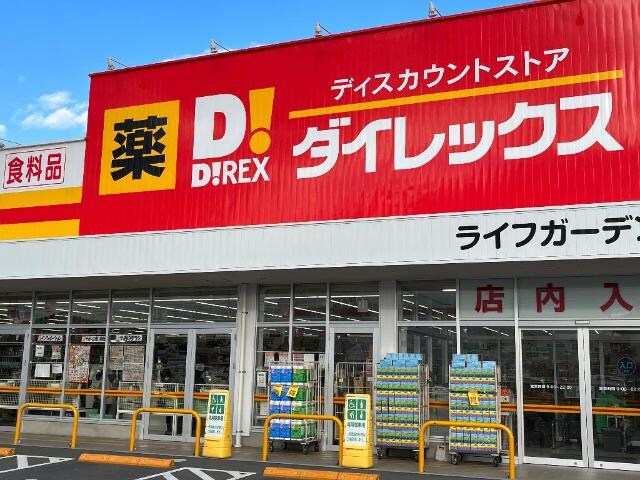 物件外観写真5　(DiREXライフガーデン総社南店まで400ｍ)