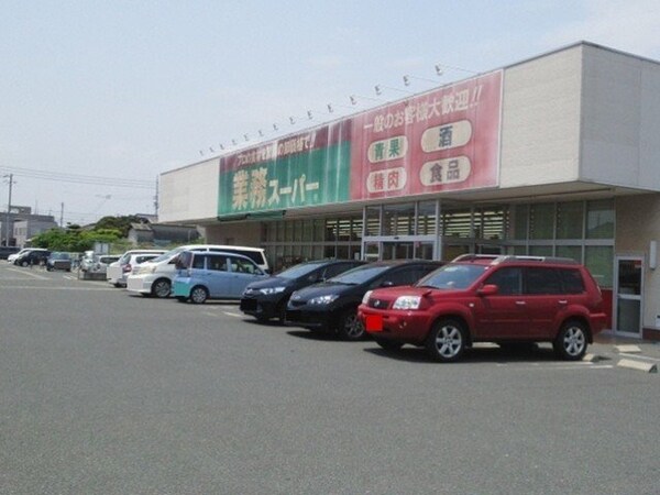 周辺環境(業務スーパー堀南店まで800m)