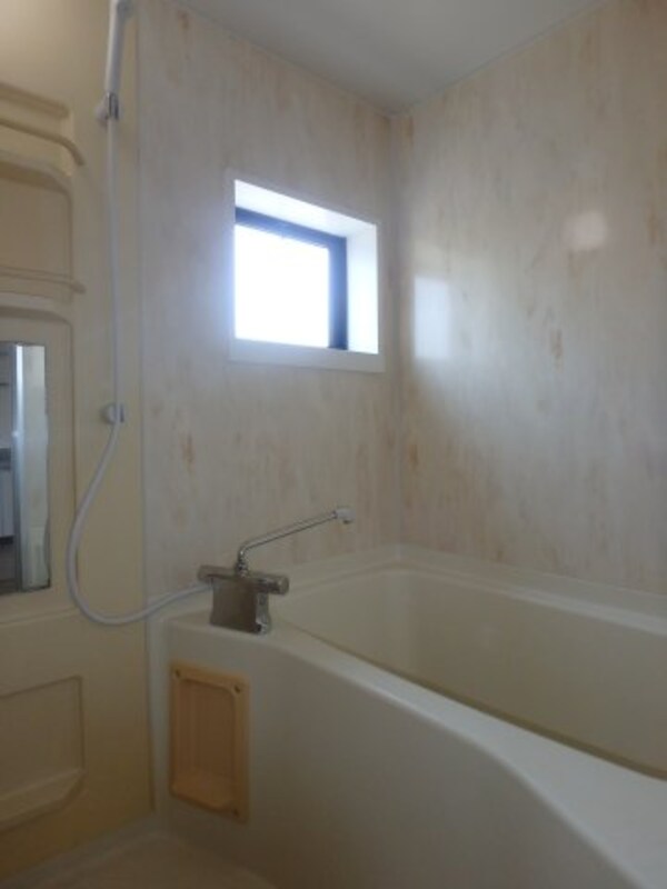 浴室(西中新田　フォンテーヌB　2LDK　風呂)