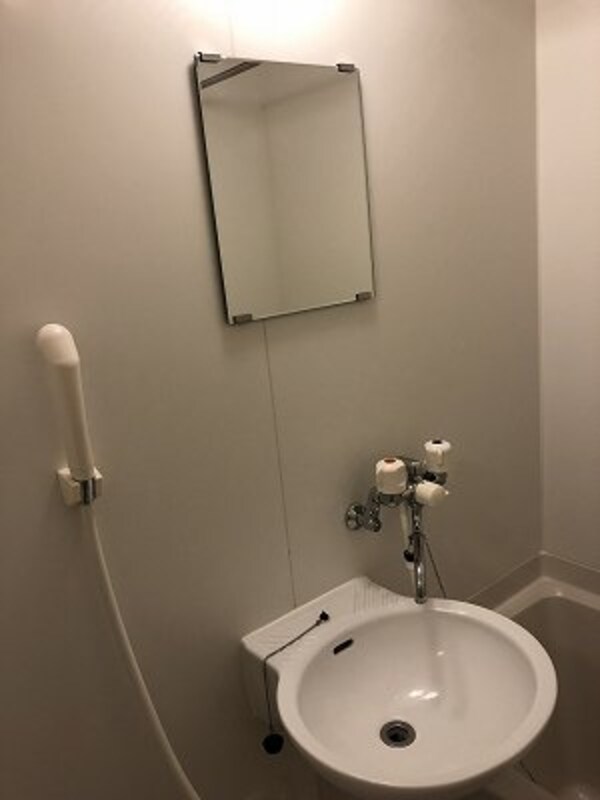 洗面・脱衣所(備品や設備仕様は号室等により異なります現地をご確認下さい。)