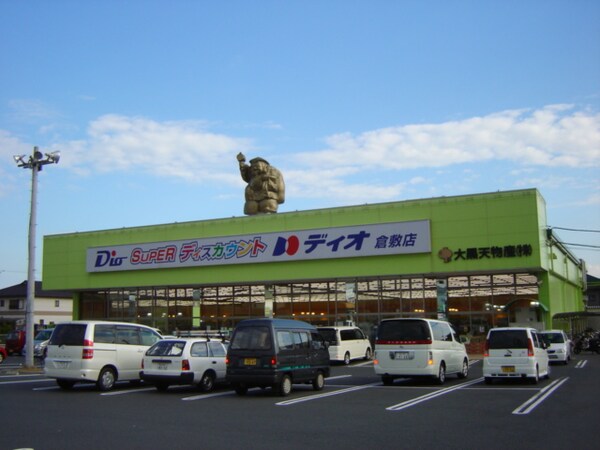 周辺環境(ディオ倉敷店（スーパー）まで800ｍ)