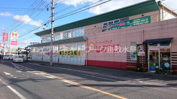 周辺環境(スーパードラッグひまわり総社東店 838m)