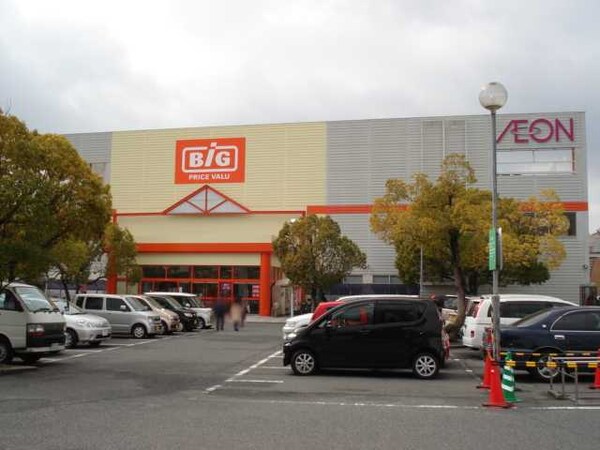 周辺環境(ザ・ビッグ倉敷店（スーパー）まで1,036ｍ)