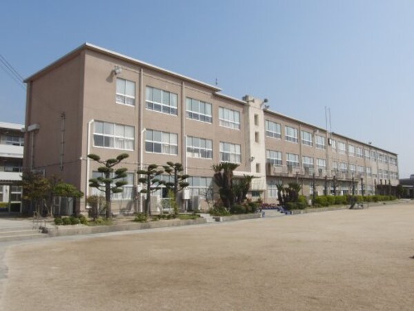 周辺環境(倉敷市立富田小学校 802m)