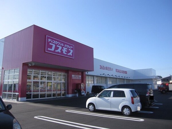 周辺環境(コスモス　玉島爪崎店まで650m)