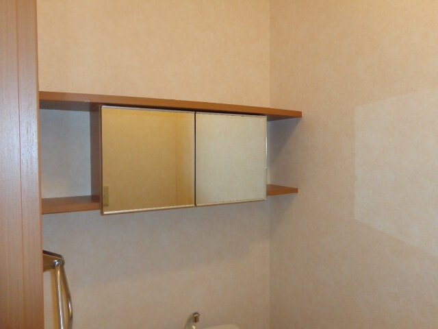 物件内観写真19　(ＷＣ収納)