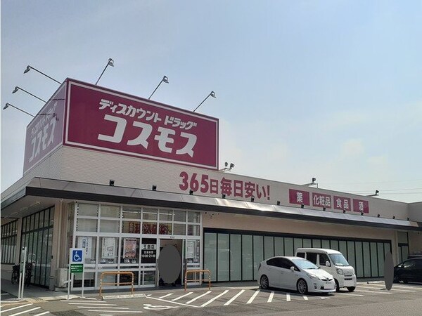 周辺環境(コスモス　玉島店まで1200m)