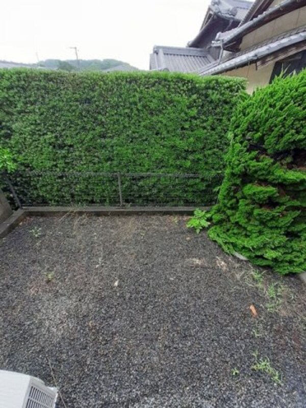 庭