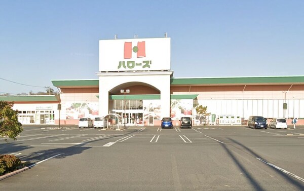 周辺環境(ハローズ 乙島店 1177m)