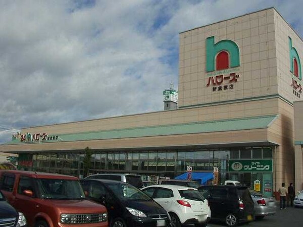 周辺環境(ハローズ（２４時間スーパー）まで1,000ｍ)