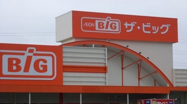 周辺環境(ザ・ビッグ一宮店まで400m)