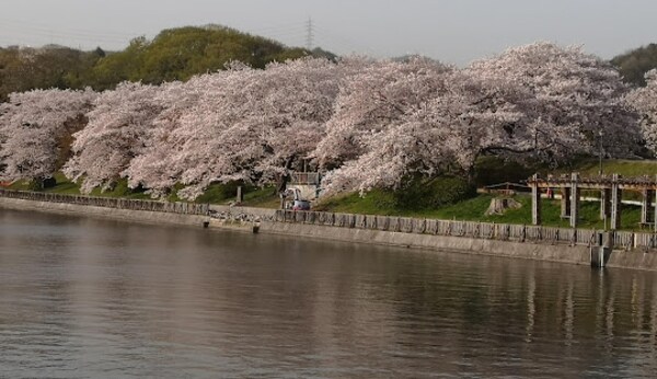 周辺環境(酒津公園 902m)