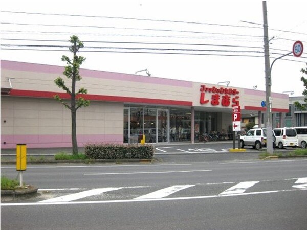 周辺環境(しまむらまで600m)