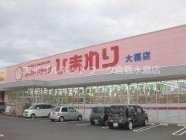 周辺環境(スーパードラッグひまわり大福店 688m)