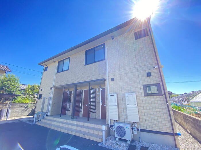 シンシアナガセ