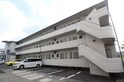 サンライズブルー