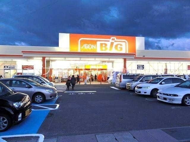 物件外観写真5　(ザ・ビック一宮店 519m)