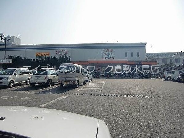 周辺環境(わたなべ生鮮館 364m)