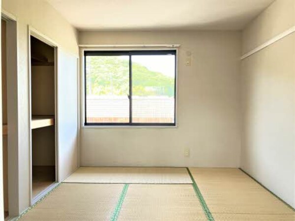 内装他