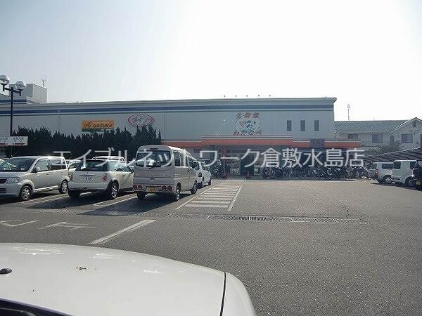 周辺環境(わたなべ生鮮館 524m)